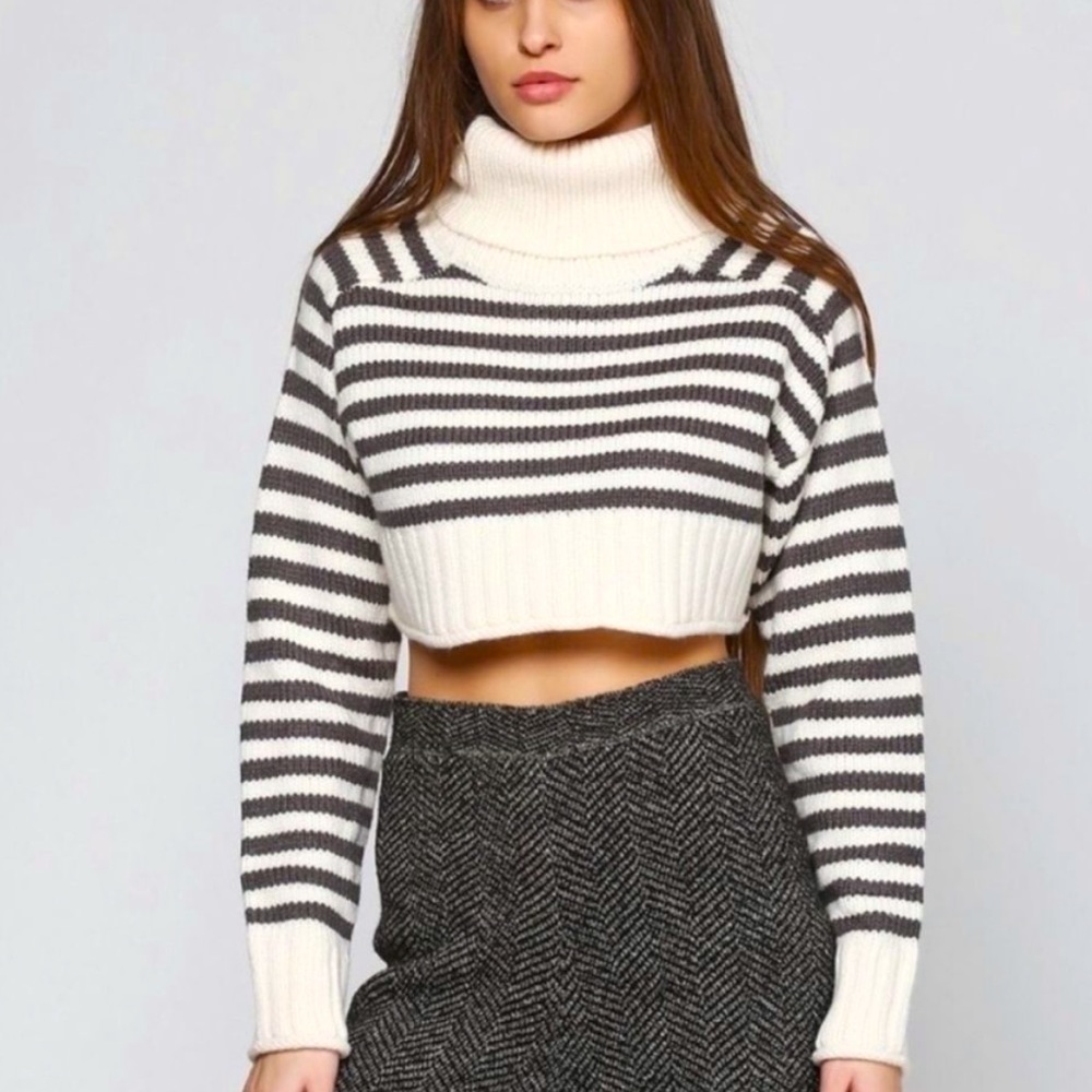 Zara nwt knitted cropped stripped turtleneck sweater